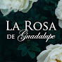 La Rosa de Guadalupe