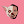 eviatarozeri avatar