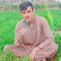 Shahzaib Masoom