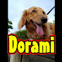 dorami24/ドラミ