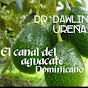 Canal Oficial del Aguacate Dominicano