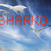 SharKo