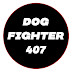 DOGfighter407