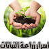 قناة اسرار زراعة النباتات