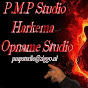 P.M.P Studio,Harkema