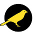 logo Canary Foundation