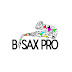 logo B SAX PRO