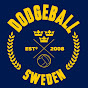 Dodgeball Sweden