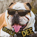 logo Uncle “Bulldog” Dee