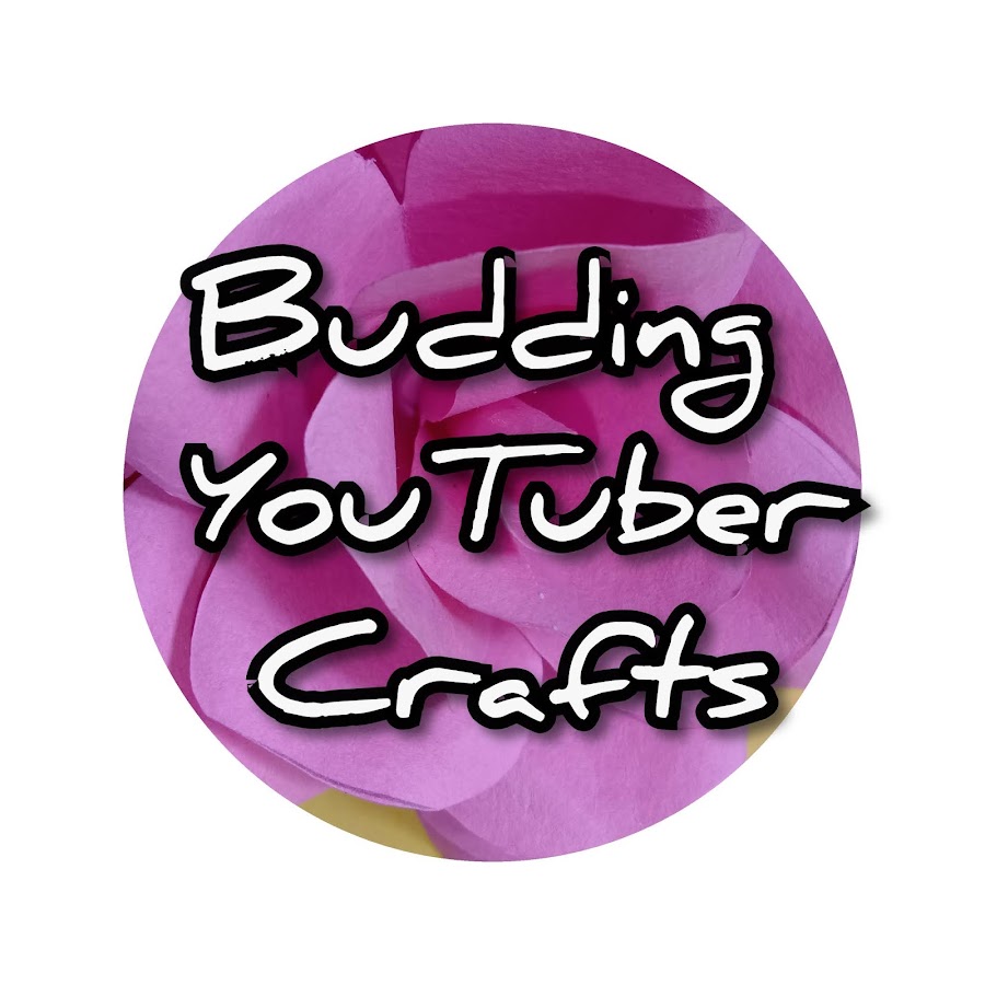 budding youtuber crafts