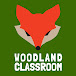 Woodland Classroom