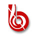 logo Barış Müzik