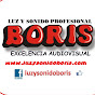 LUZ Y SONIDO PROFESIONAL BORIS