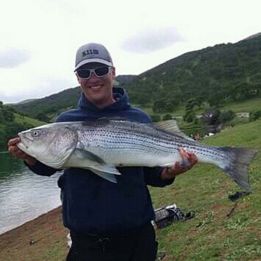 don pedro reservoir bass fishing, great catching big bass