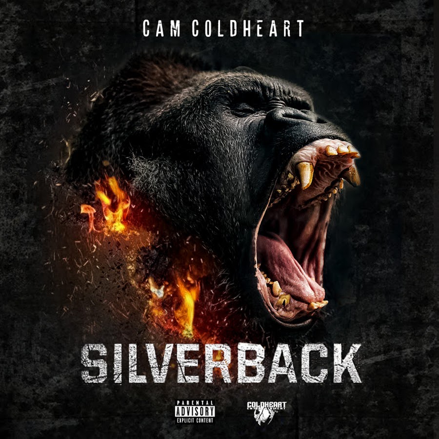 CAM COLDHEART YouTube