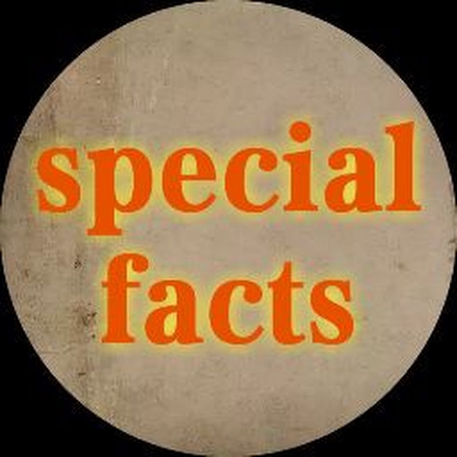 special Facts - YouTube special Facts