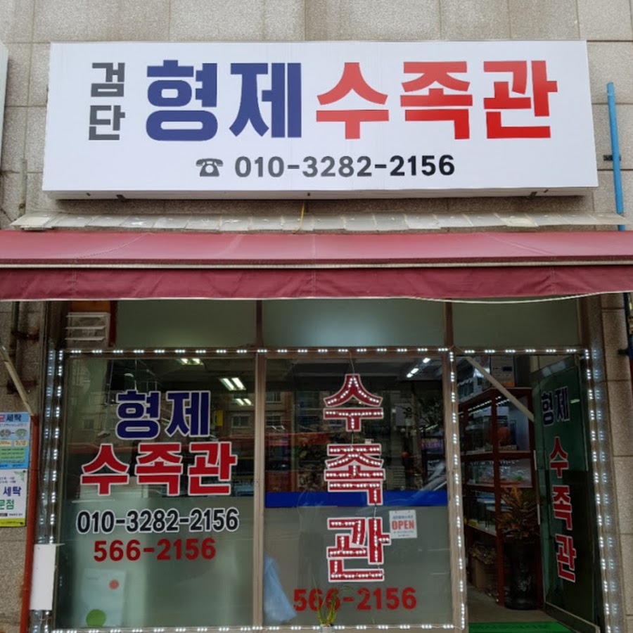 검단수족관형제수족관 - YouTube 검단수족관형제수족관
