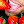 jerryasmr avatar