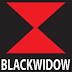 Black Widow Exhausts