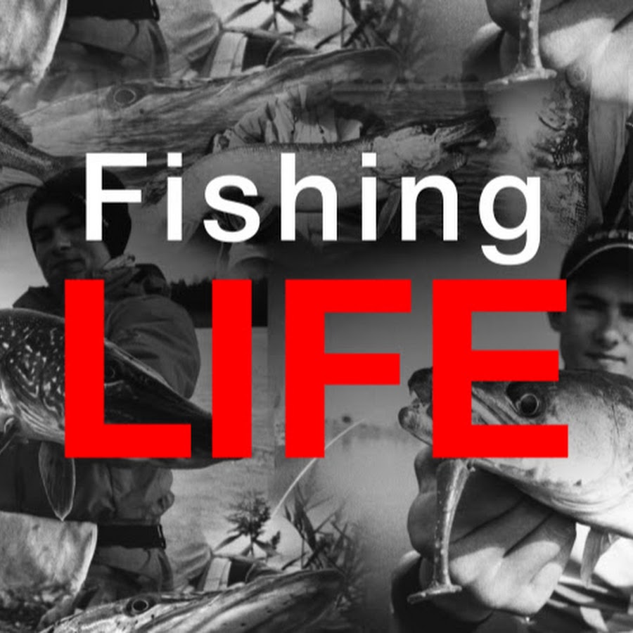 FishingLIFE Назар Боженко @Fishing_L1FE