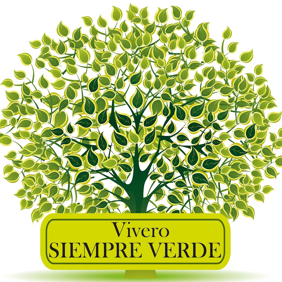 VIVERO SIEMPRE VERDE @viverosiempreverde