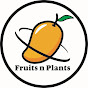 Fruits n Plants