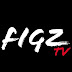 logo Figvrati Films