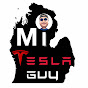 MI Tesla Guy