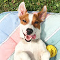 ЛОКИ БОБО (LUCKY) youtube avatar