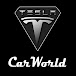 TESLA CAR WORLD