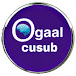 Ogaal cusub