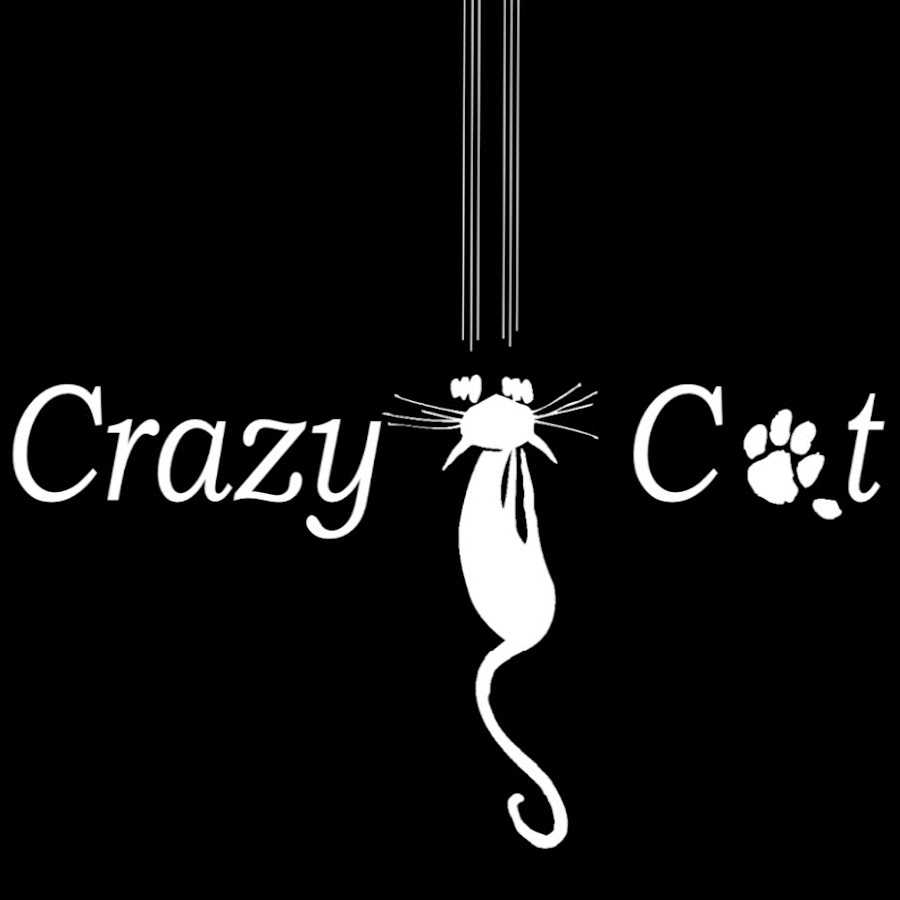 Crazy cat youtube channel hot sale