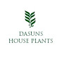 Dasuns House Plants