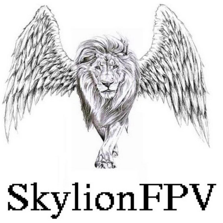 Skylion Youtube