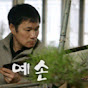 분재 스토리.bonsai story.