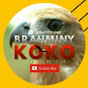 Brahminy Koko