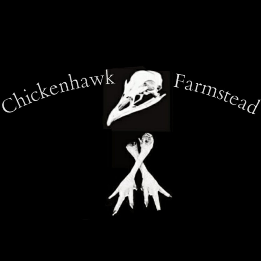 chicken hawk farmstead