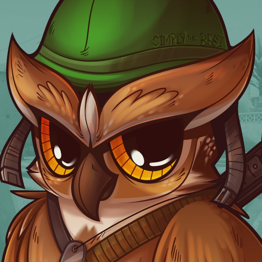 TheWarOwl