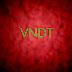 VNDT