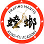 Kung Fu Republic