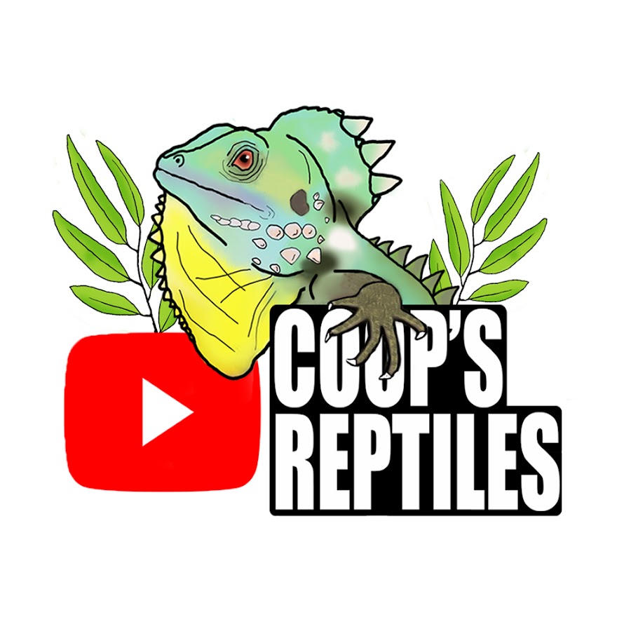 Coop's Reptiles @coopsreptiles2588