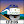 CoasterFan2105 avatar