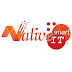 logo Native Smart IT