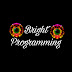 logo Bright Programming