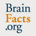 logo BrainFacts.org