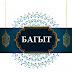 logo БАГЫТ