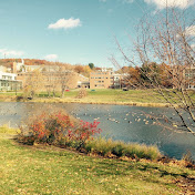 Boston CollegeGuidance