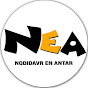 Nodidavr en antar