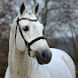 Tenerife Stables CZ