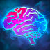 logo InterestingDaily